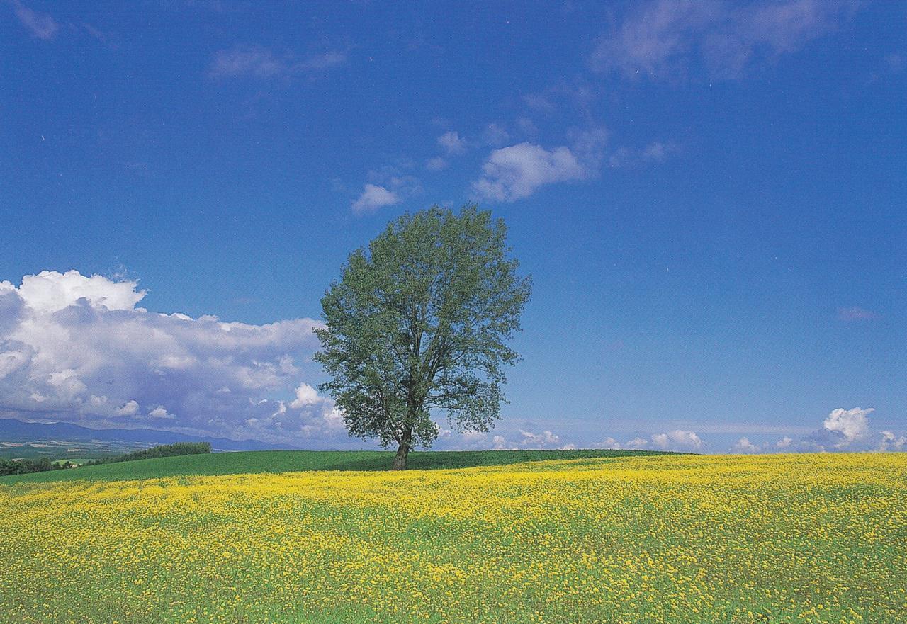Furano La Terre Hotell Nakafurano Exteriör bild